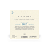 D'Addario EJ69 5-String Phosphor Bronze Light Banjo Strings