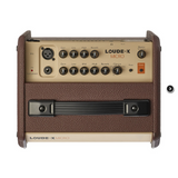 Fishman Loudbox Micro