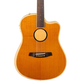 LR Baggs AEG-1 Acoustic Electric Guitar - Torrefied Sitka Spruce