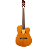 LR Baggs AEG-1 Acoustic Electric Guitar - Torrefied Sitka Spruce