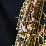 OPEN BOX Yanagisawa TWO20 Professional Tenor Saxophone