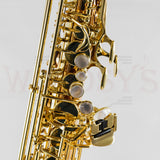 OPEN BOX Yanagisawa AWO20 Elite Model Bronze Alto Saxophone