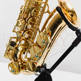 OPEN BOX Yanagisawa AWO2 Professional Model Bronze Alto Saxophone