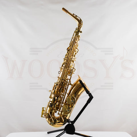 OPEN BOX Yanagisawa AWO2 Professional Model Bronze Alto Saxophone