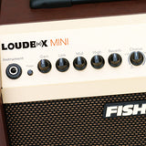 Fishman LBT-500 Loudbox Mini Bluetooth