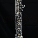 Haynes Q1 Professional Flute