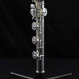 Haynes Q1 Professional Flute