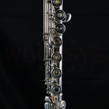 Haynes Q2 Professional Flute