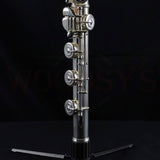 Haynes Q2 Professional Flute