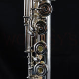 Haynes Q2 Professional Flute