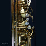 Yanagisawa TWO10 Elite Tenor Saxophone