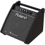 Roland PM100 Personal Powered Monitor