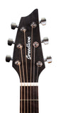 Breedlove Exotic S Concert Sweetgrass CE