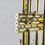 Open Box Adams Custom Series A6 Trumpet