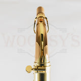 Yanagisawa AWO20 Elite Model Bronze Alto Saxophone