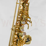 Yanagisawa AWO2 Professional Model Bronze Alto Saxophone